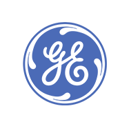 GE IT Risk Logo