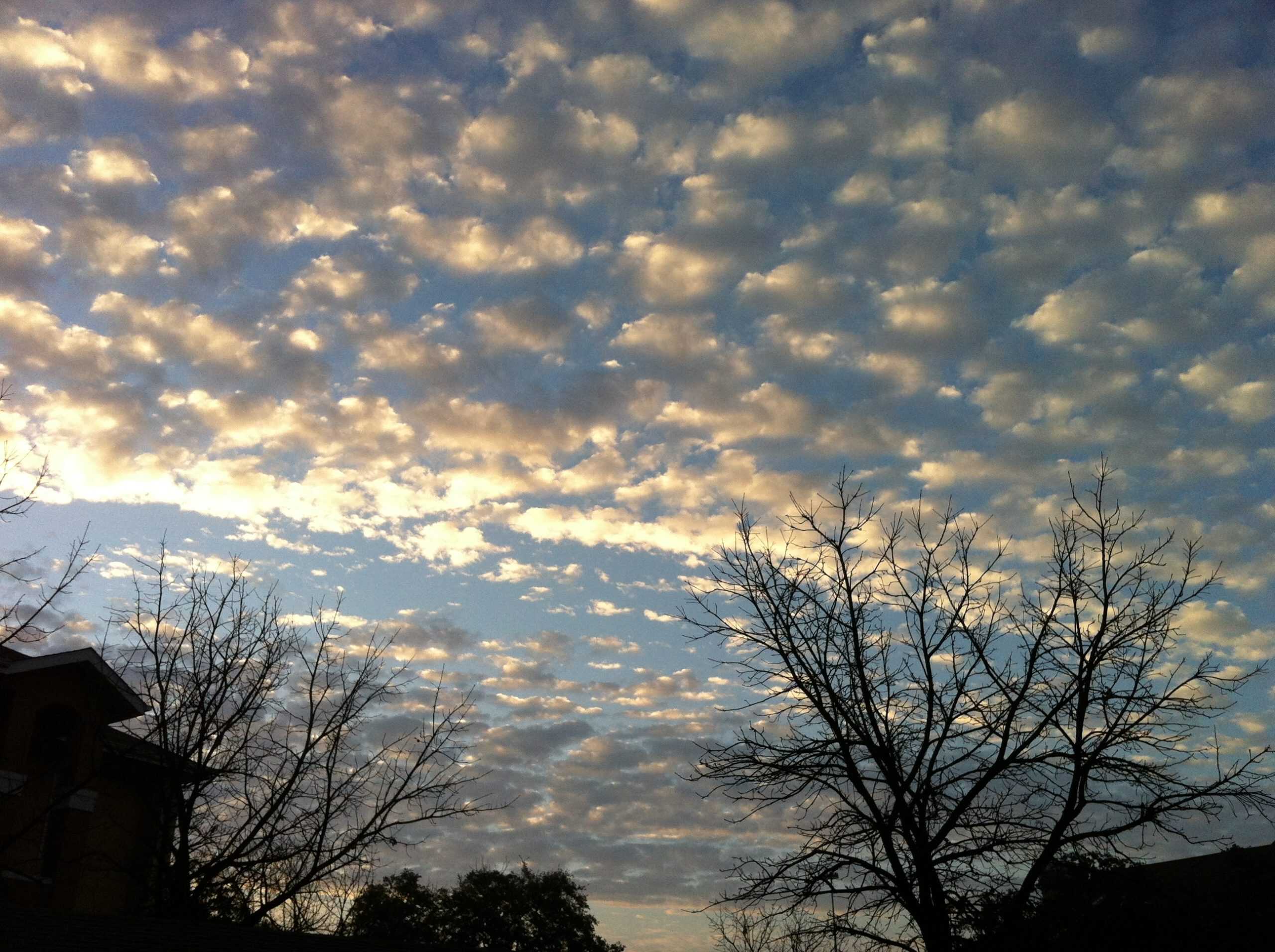 Bunch of clouds that look like torn up cotton balls